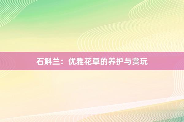 石斛兰：优雅花草的养护与赏玩