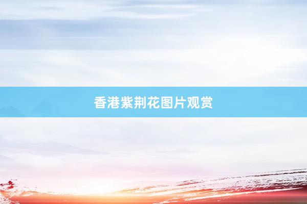 香港紫荆花图片观赏