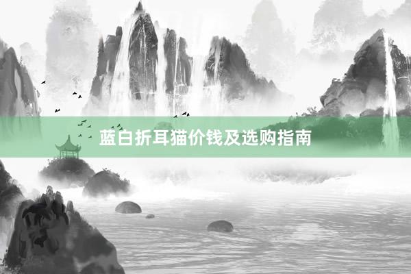 蓝白折耳猫价钱及选购指南