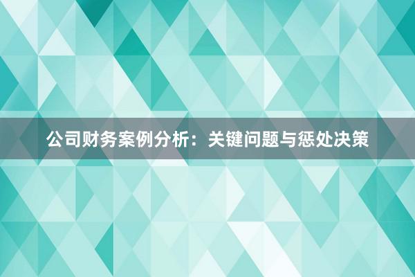 公司财务案例分析：关键问题与惩处决策