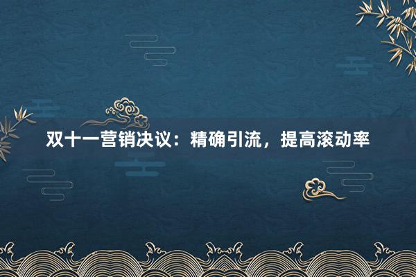 双十一营销决议：精确引流，提高滚动率